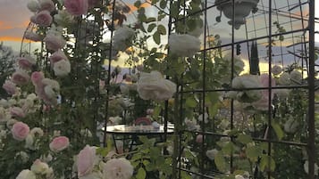 Jardín
