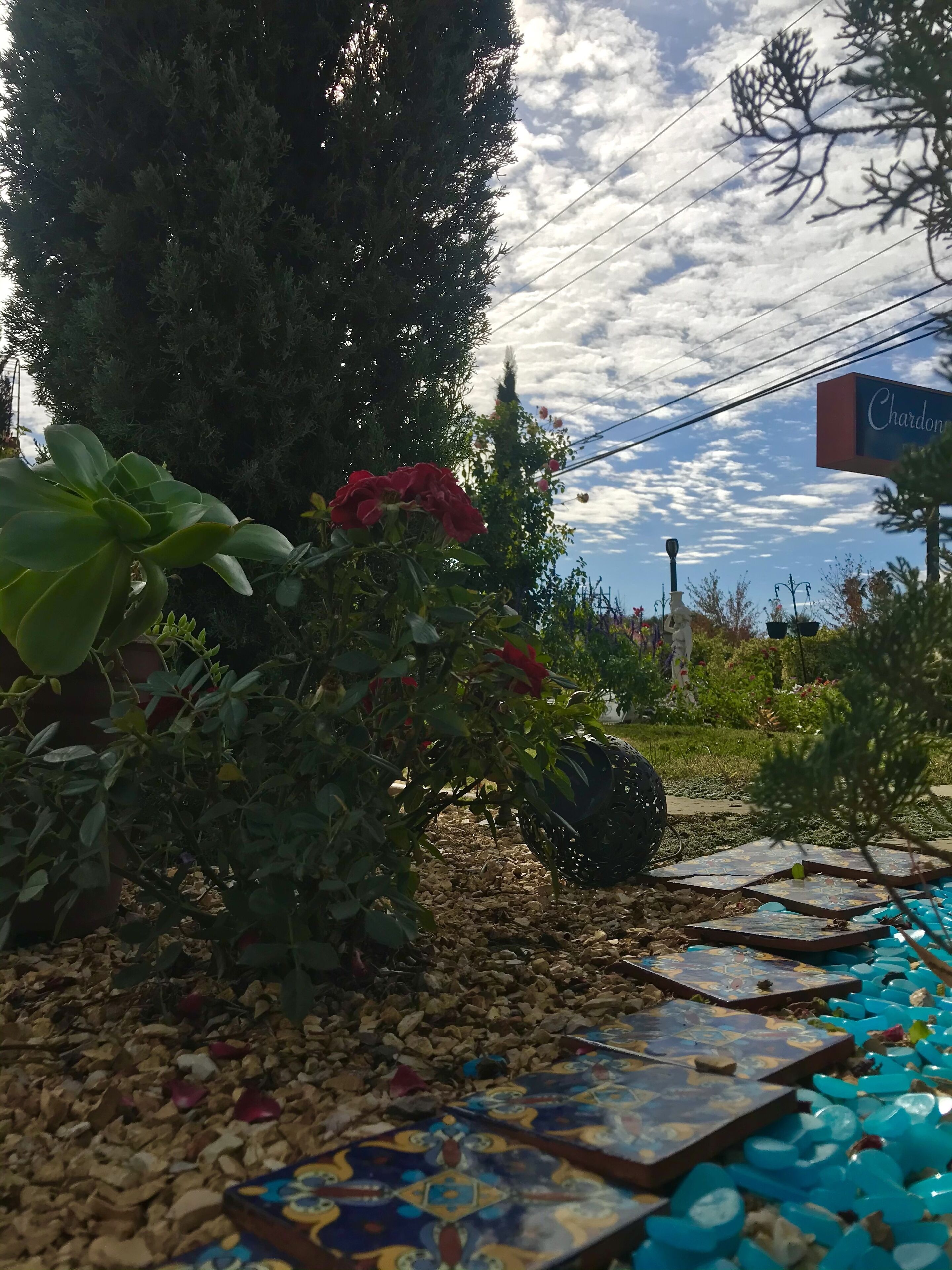 Un espace jardin aménagé avec un chemin pavé, des plantes en pot et un panneau indiquant « Chardon ».