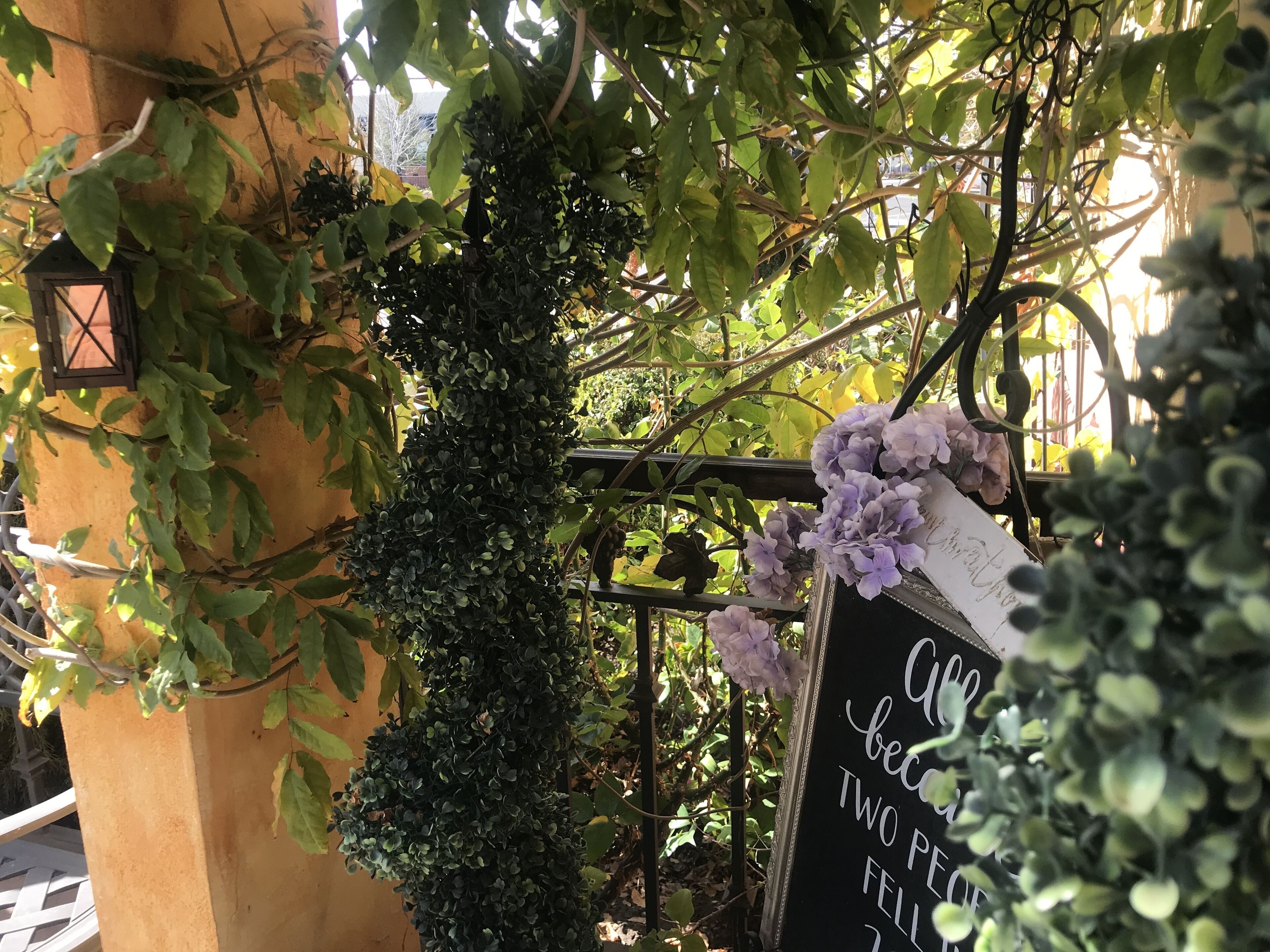 A garden area with ivy and purple flowers, a blackboard with a message, and a lantern.