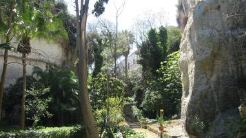 Un jardin agrémenté d’un escalier en pierre menant à un niveau supérieur, et bordé de différentes plantes et arbres.