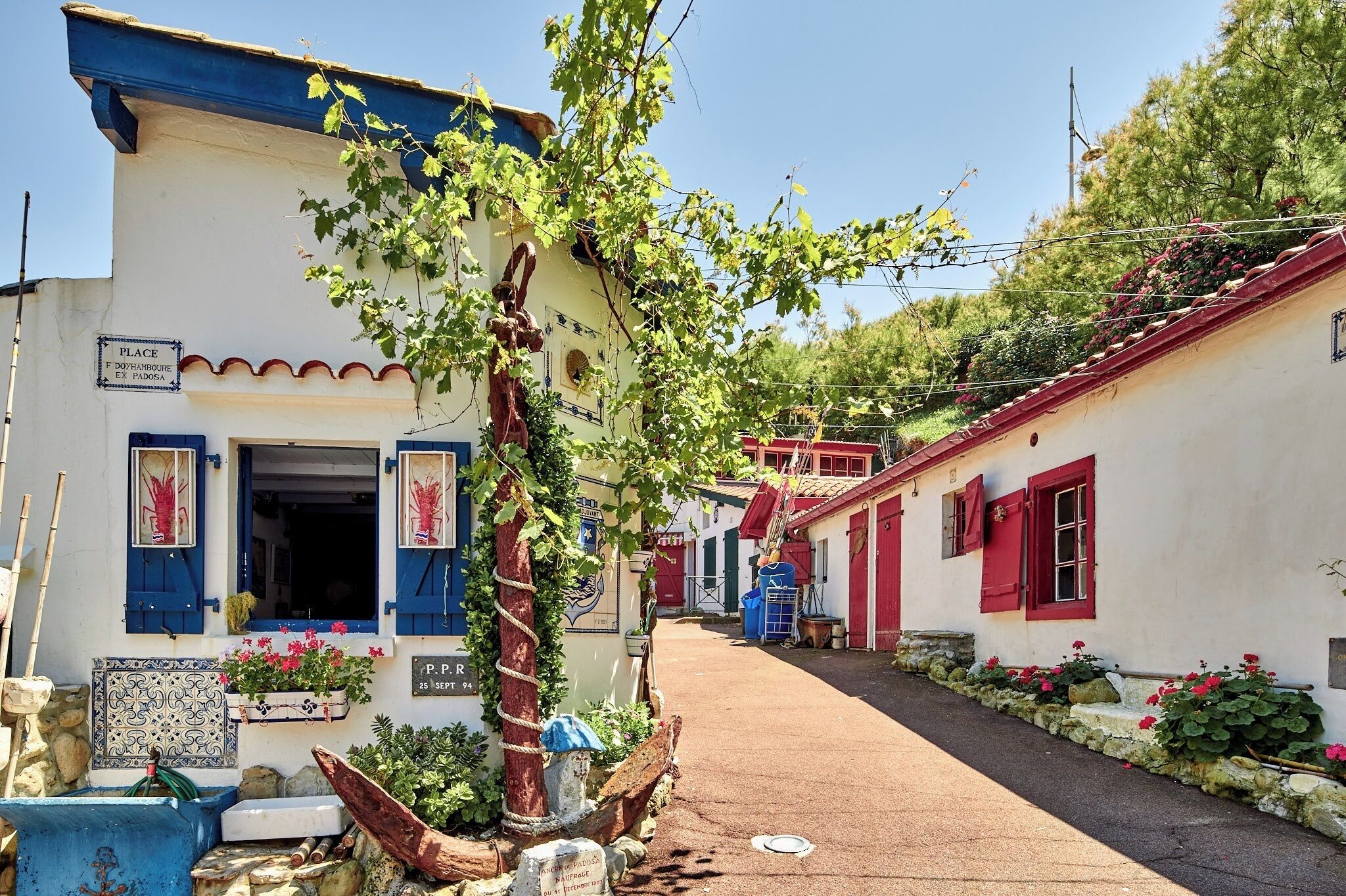 جولات بأجهزة الحركة والتنقل سيجواي