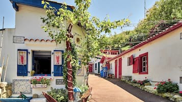 Recorridos en segway