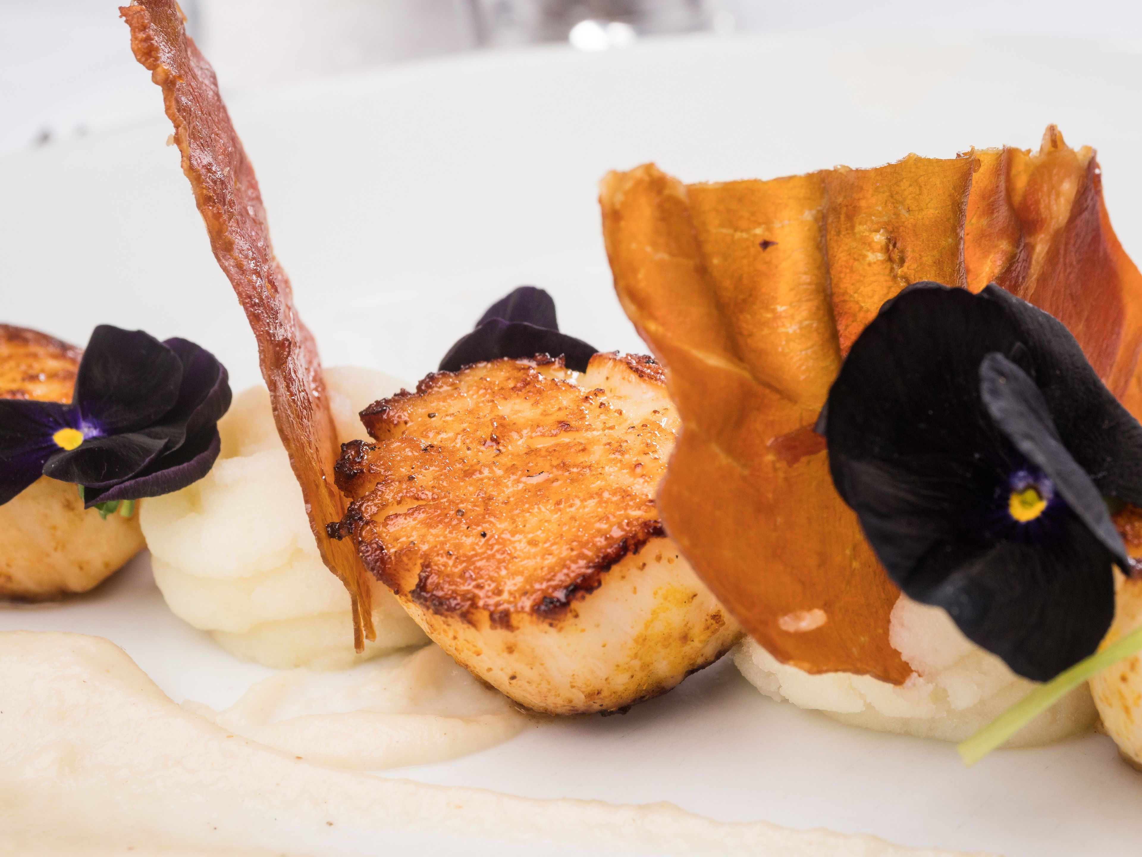 A plated dish with seared scallops, a piece of bacon, and edible flowers.