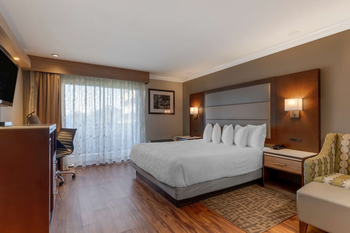 Hypo-allergenic bedding, in-room safe, laptop workspace