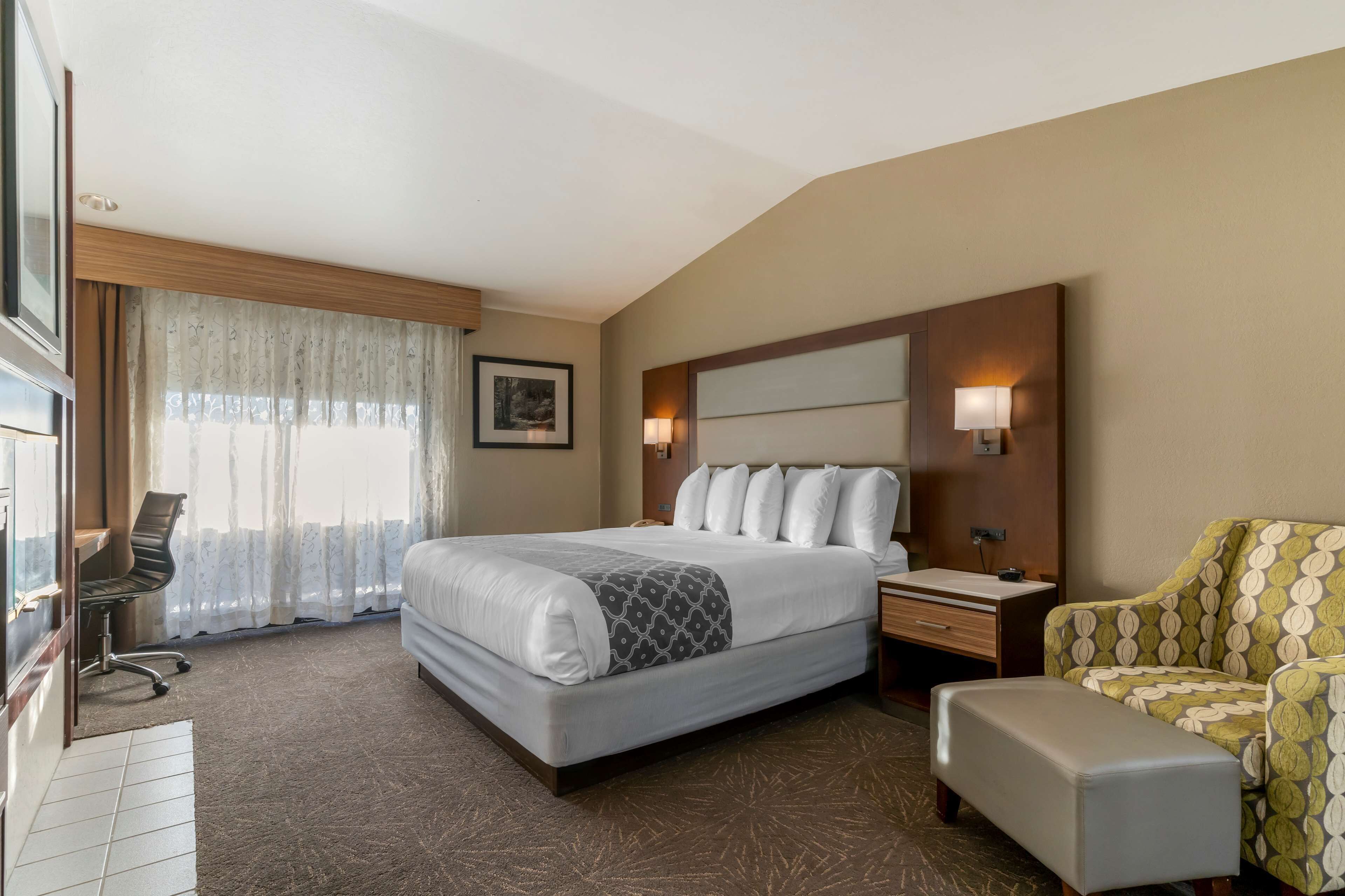 A hotel room with a large bed, a desk, a chair, and a sofa.
