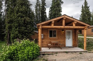 Premium Cabin, 1 Bedroom, Fireplace | Desk, iron/ironing board, bed sheets - Togwotee Mountain Lodge (Moran)