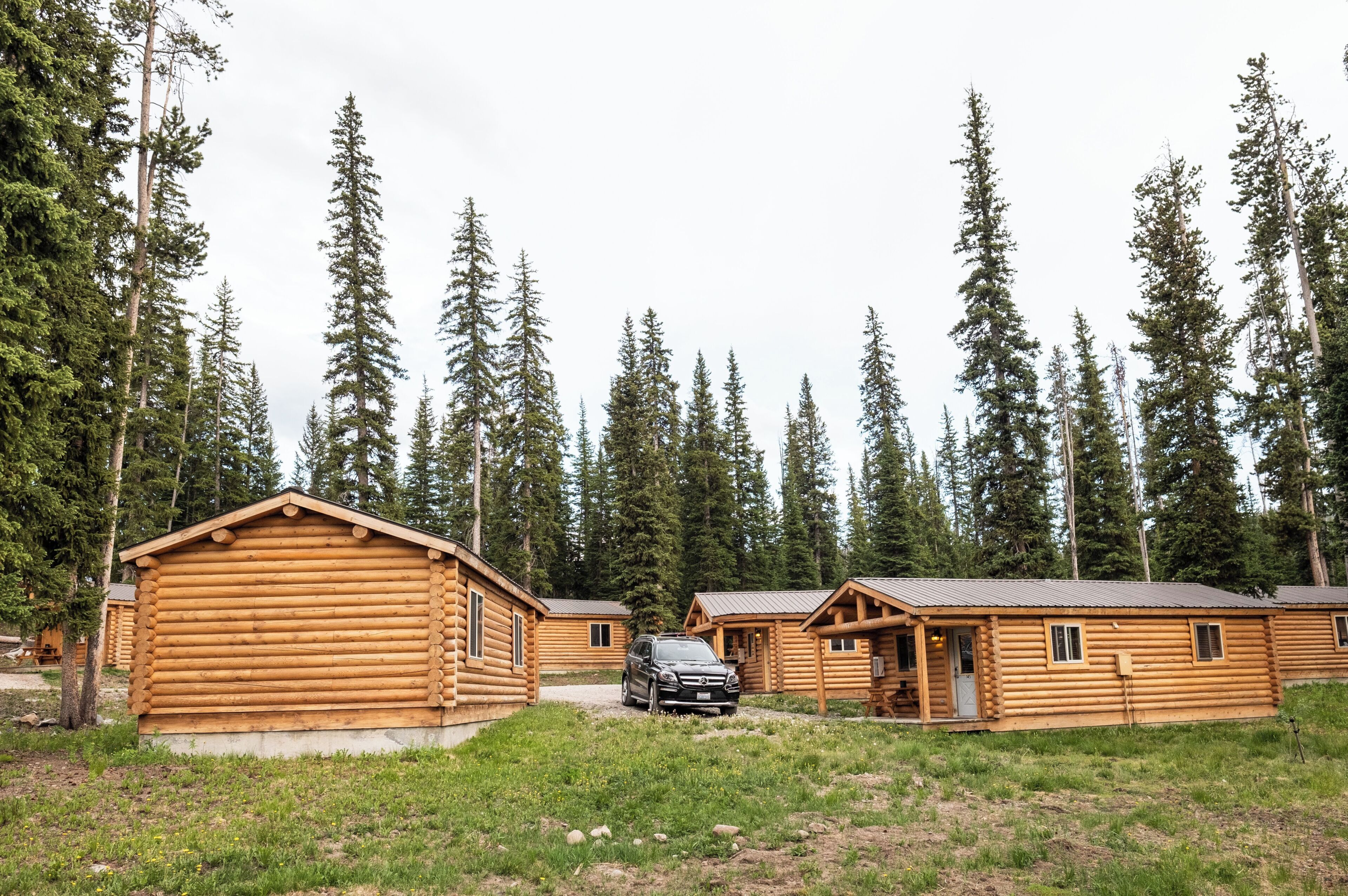 A log cabin with a car parked in front, surrounded by tall pine trees.