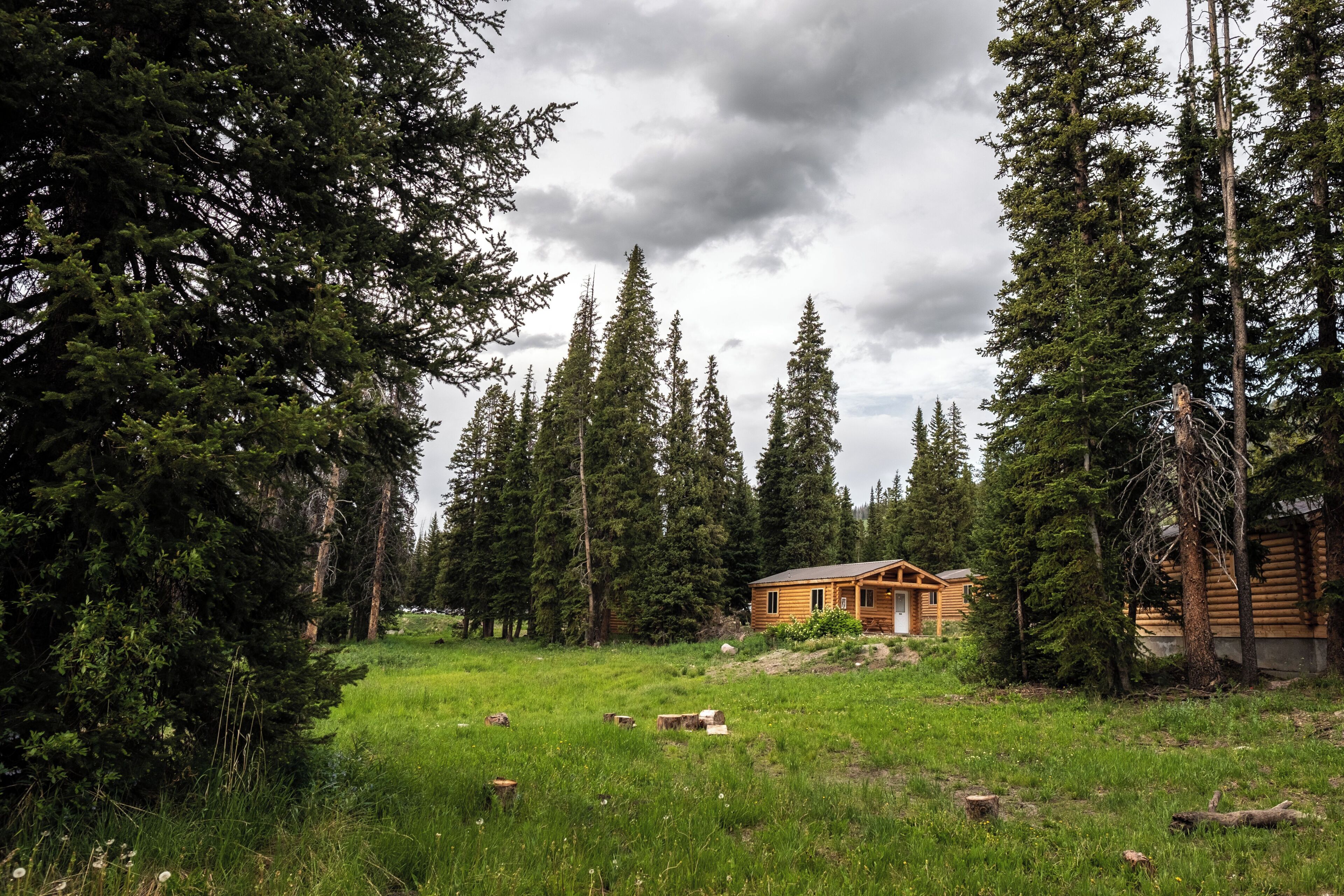 A cabin surrounded by tall evergreen trees, a grassy field, and a cloudy sky.