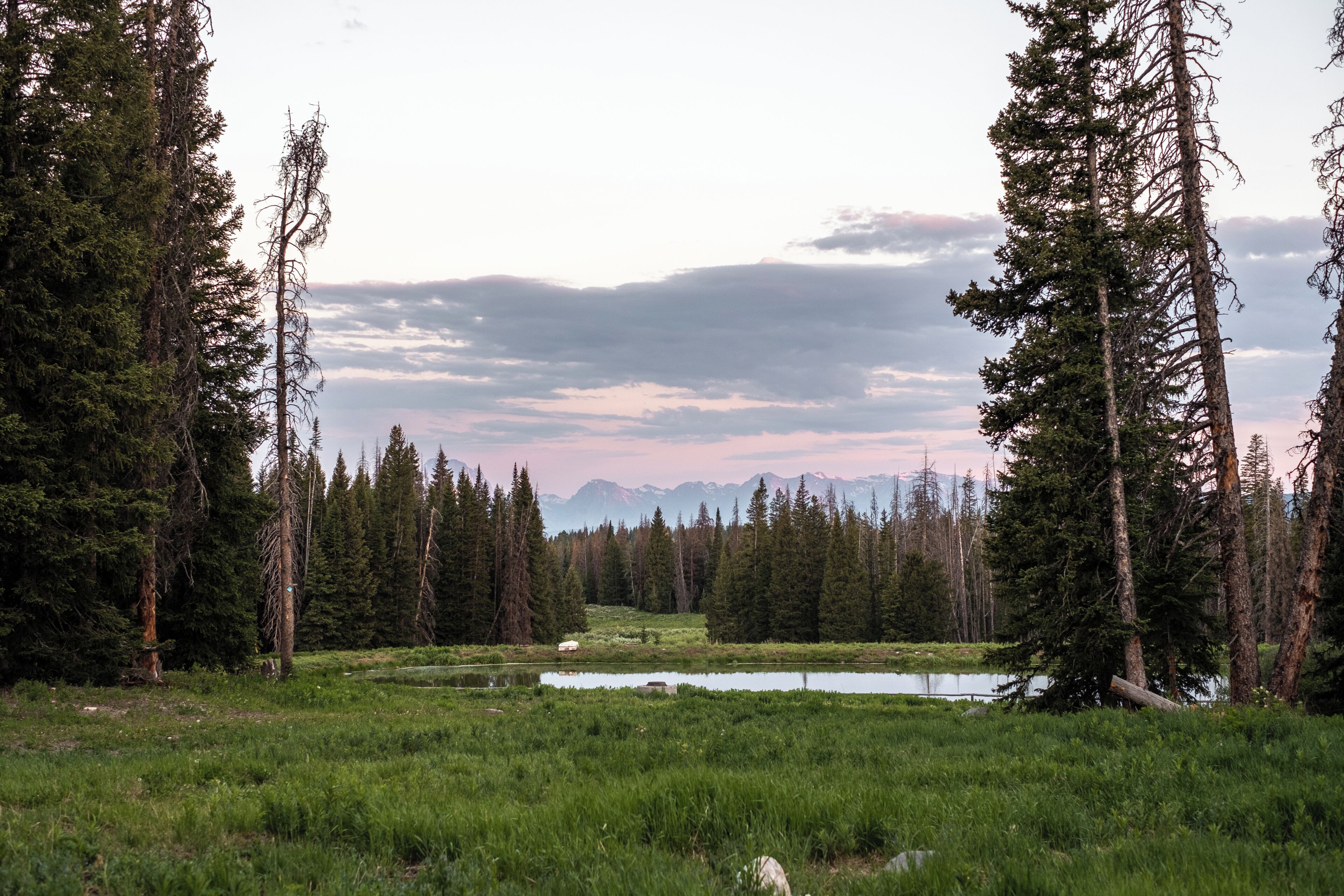 A natural landscape with a lake, dense forest, and mountains in the distance.