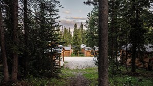 A forested area with wooden cabins and a gravel path.