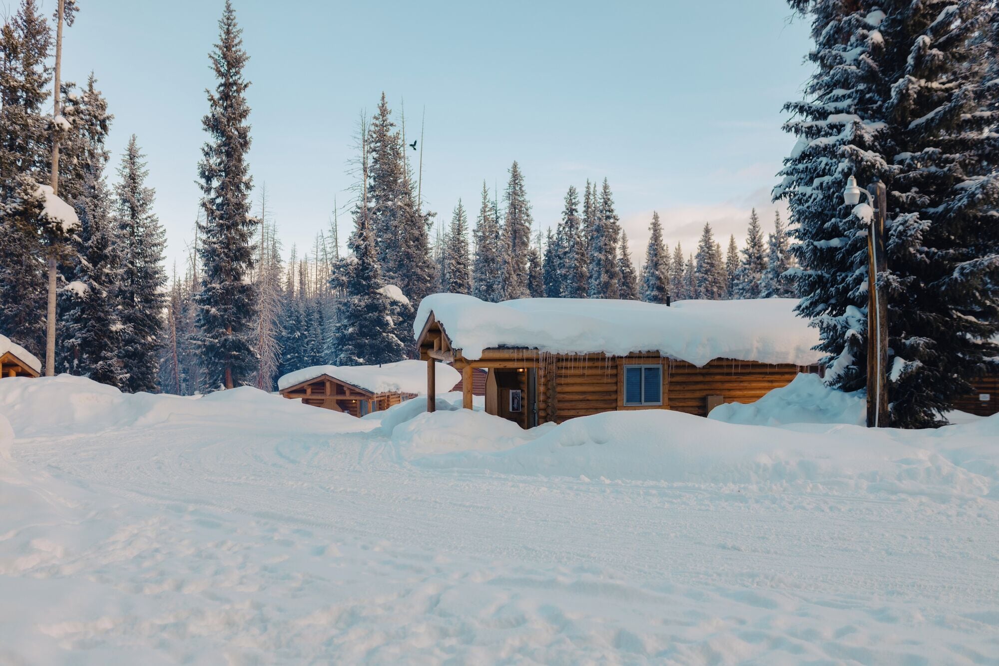 A wooden cabin surrounded by snow-covered trees.