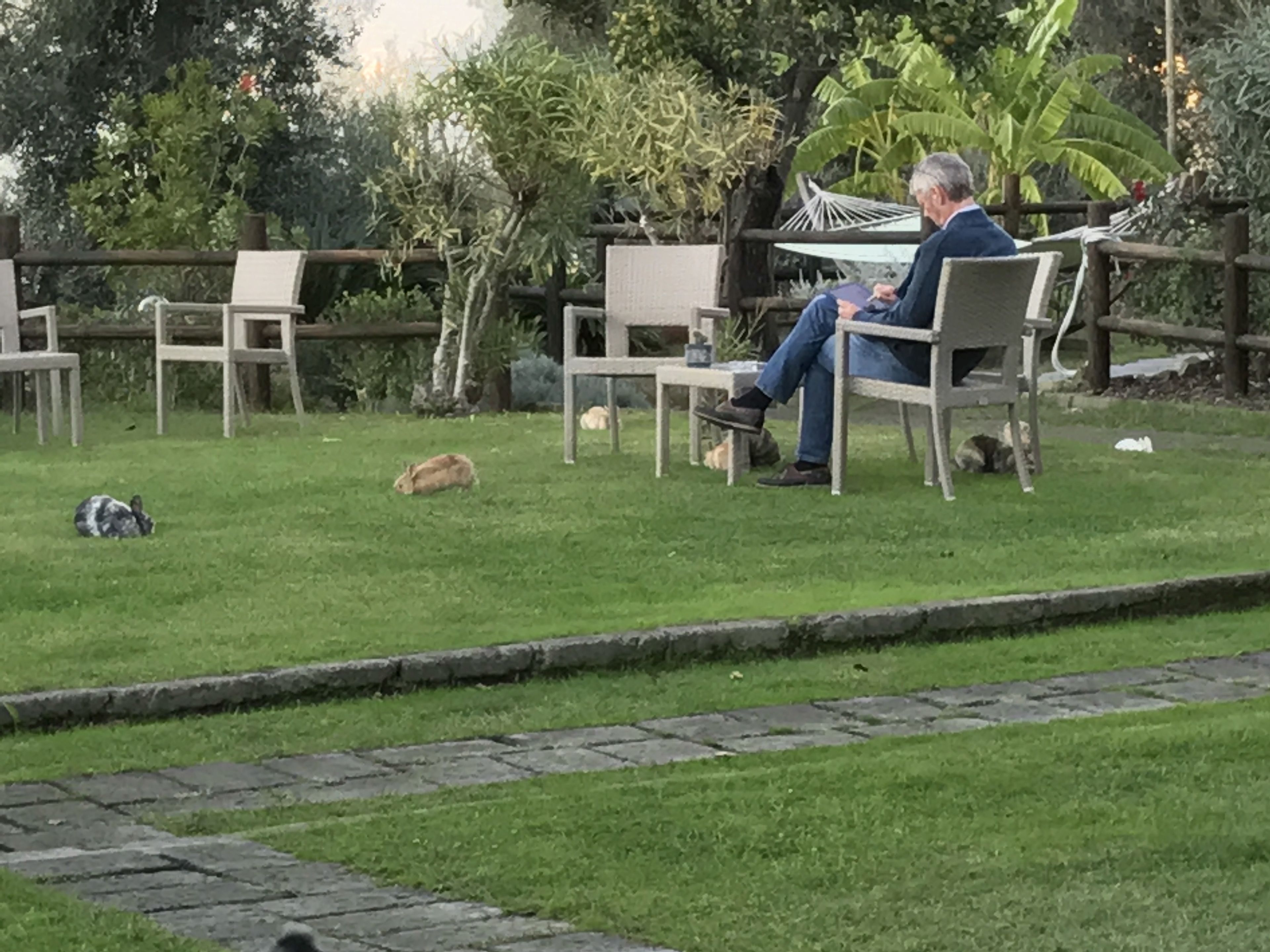 Un homme est assis sur un banc dans un espace aménagé en jardin, avec des chaises et un hamac.