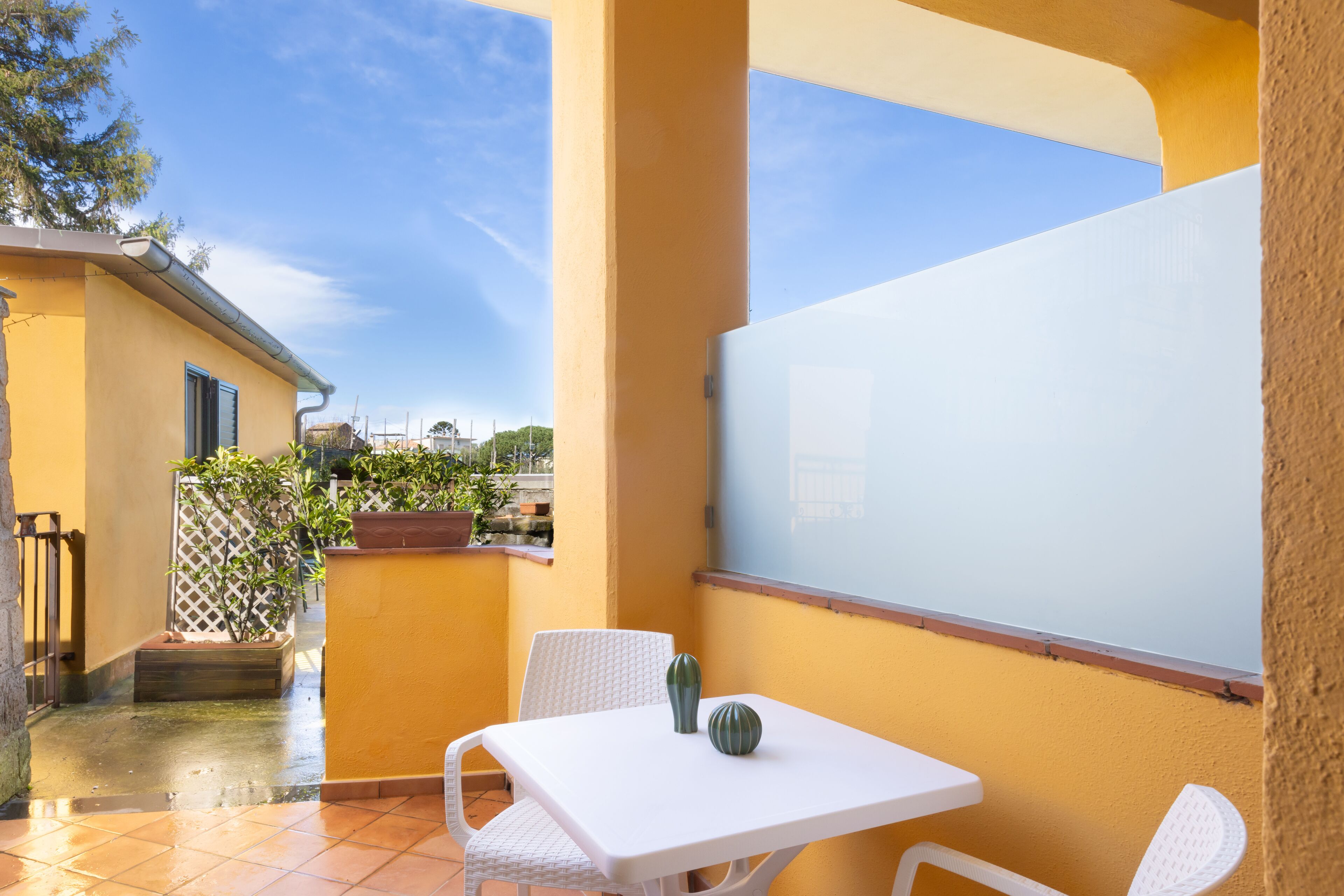 Basic Double Room | Terrace/patio