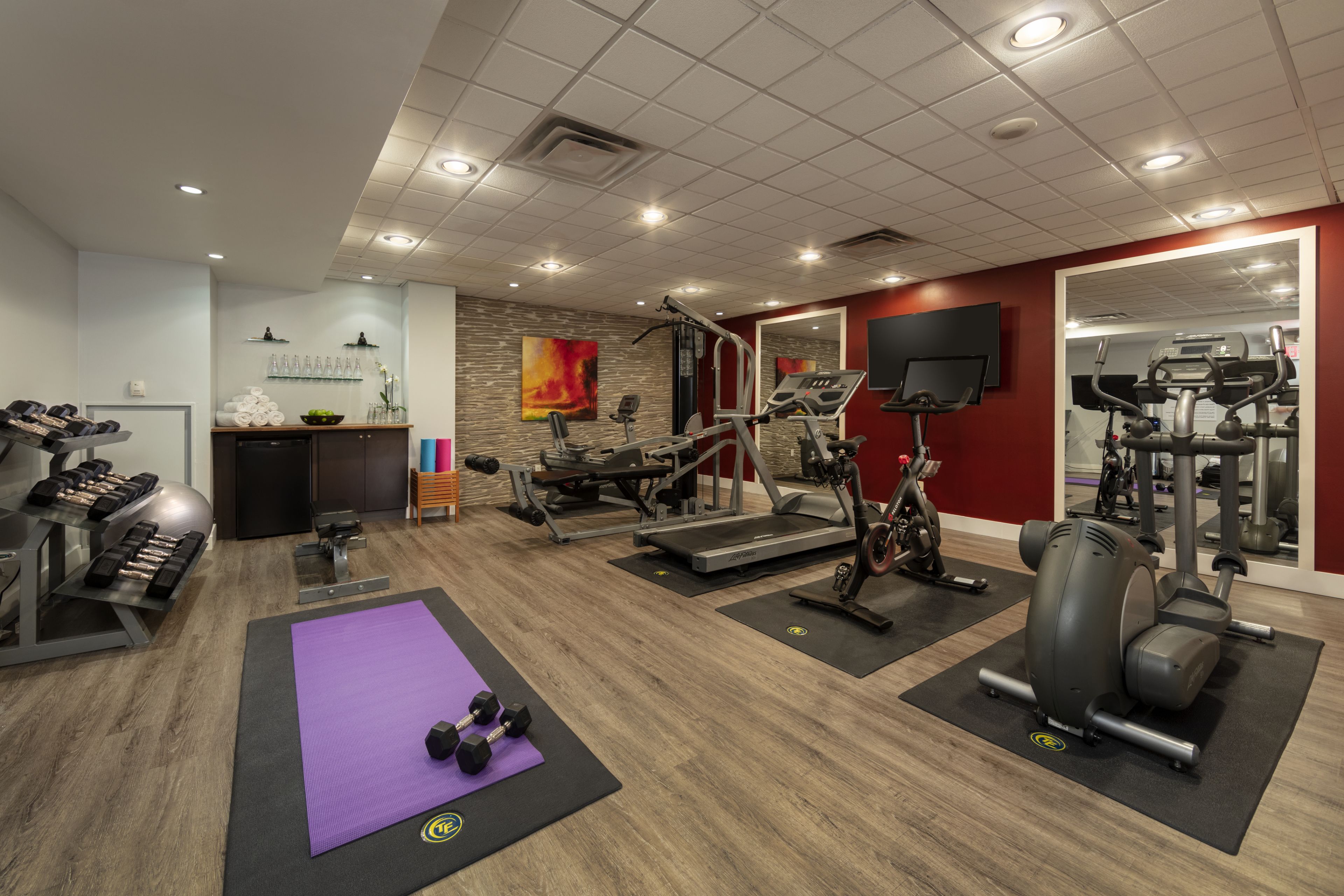 A gym with various exercise equipment, including treadmills, elliptical machines, and free weights.