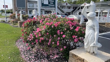 Façade de lâhĂ©bergement