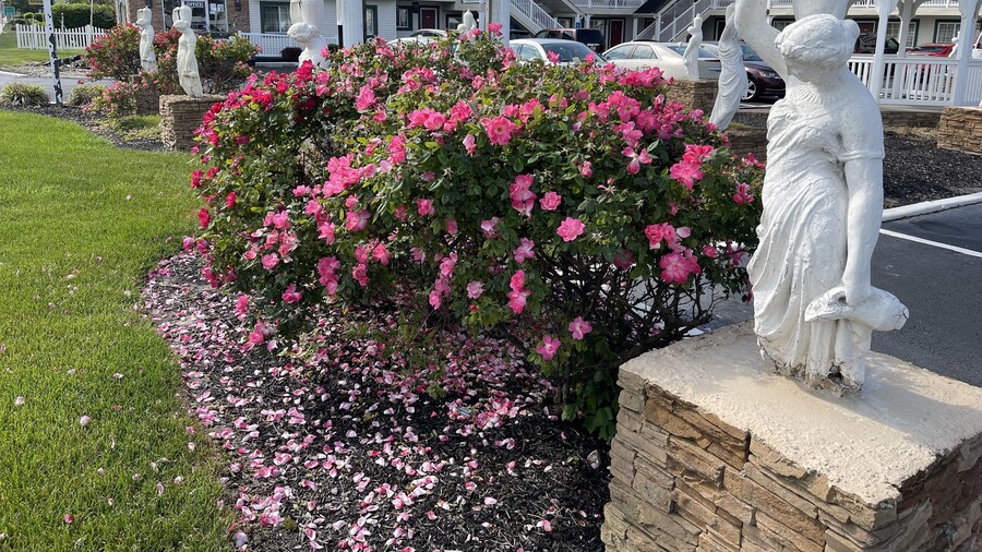 Empire Inn & Suites Atlantic City Absecon