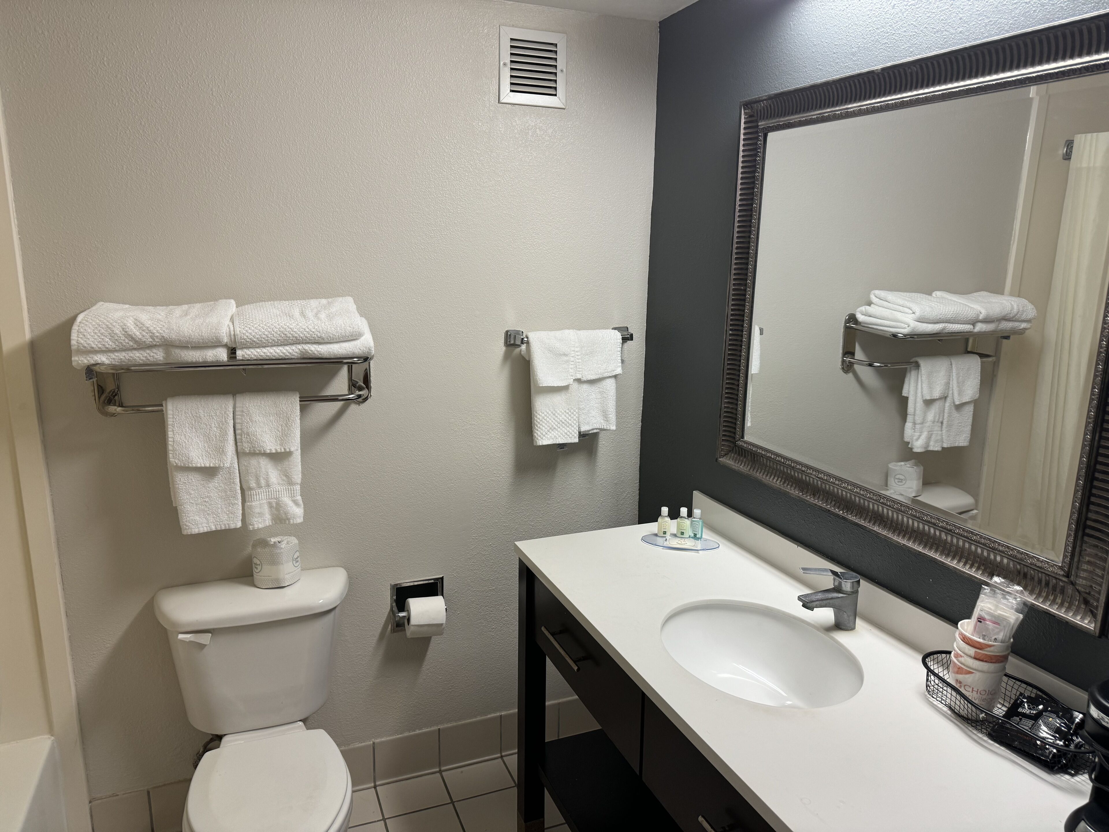 Une salle de bain comprenant des toilettes, un lavabo, un miroir, un porte-serviettes et un support à papier toilette.