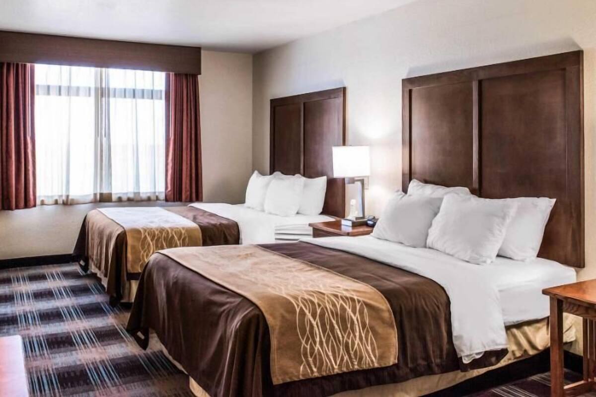 Habitación de hotel con dos camas, una ventana con cortinas, una mesita de noche con lámpara y suelo alfombrado.