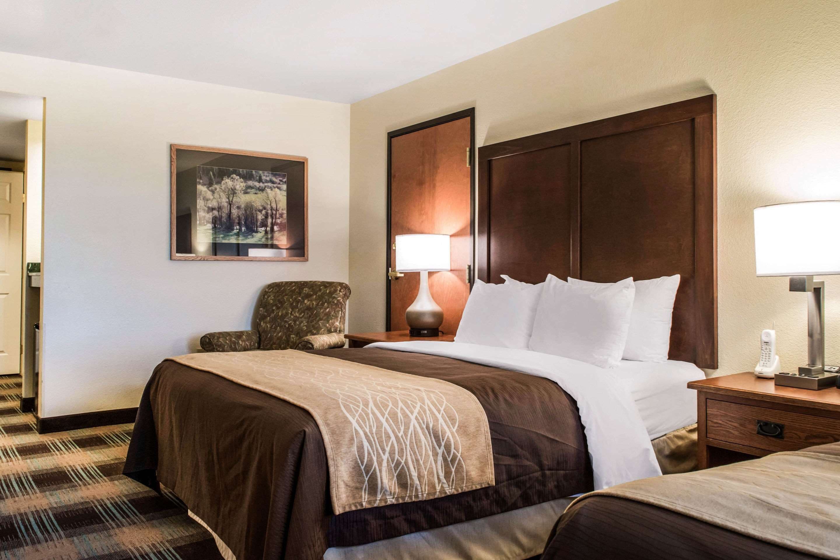 A hotel room with a large bed, a chair, a nightstand with a lamp, and a framed picture on the wall.