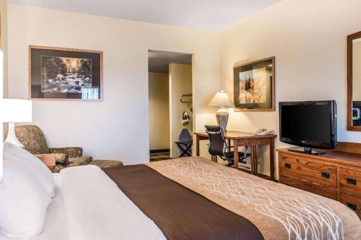 Una habitación de hotel con una cama, un escritorio con silla, televisión y lámpara.