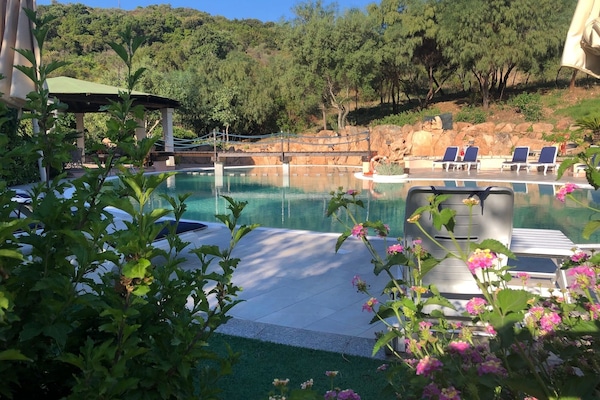 Outdoor pool, pool umbrellas, sun loungers