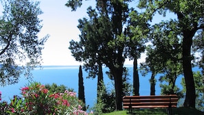 Un banc dans un parc, avec vue sur la mer et les arbres.