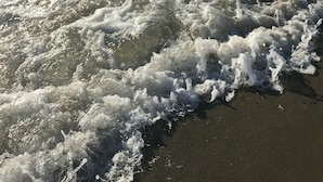 Una playa con olas rompiendo sobre la orilla.