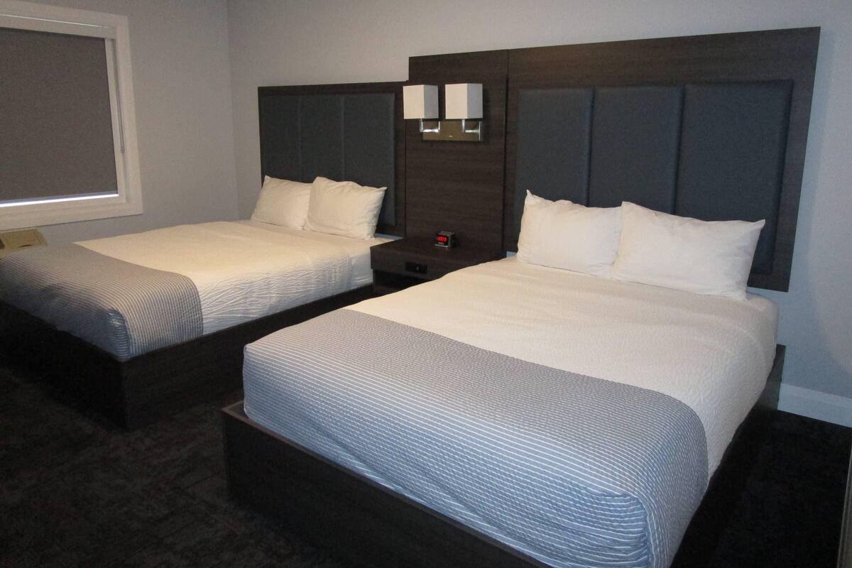 Wi-Fi gratuit, draps fournis, réveils