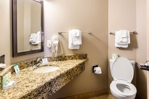 Bañera, secador de pelo, toallas