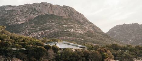 A house with a large roof, surrounded by trees and a mountain in the background.