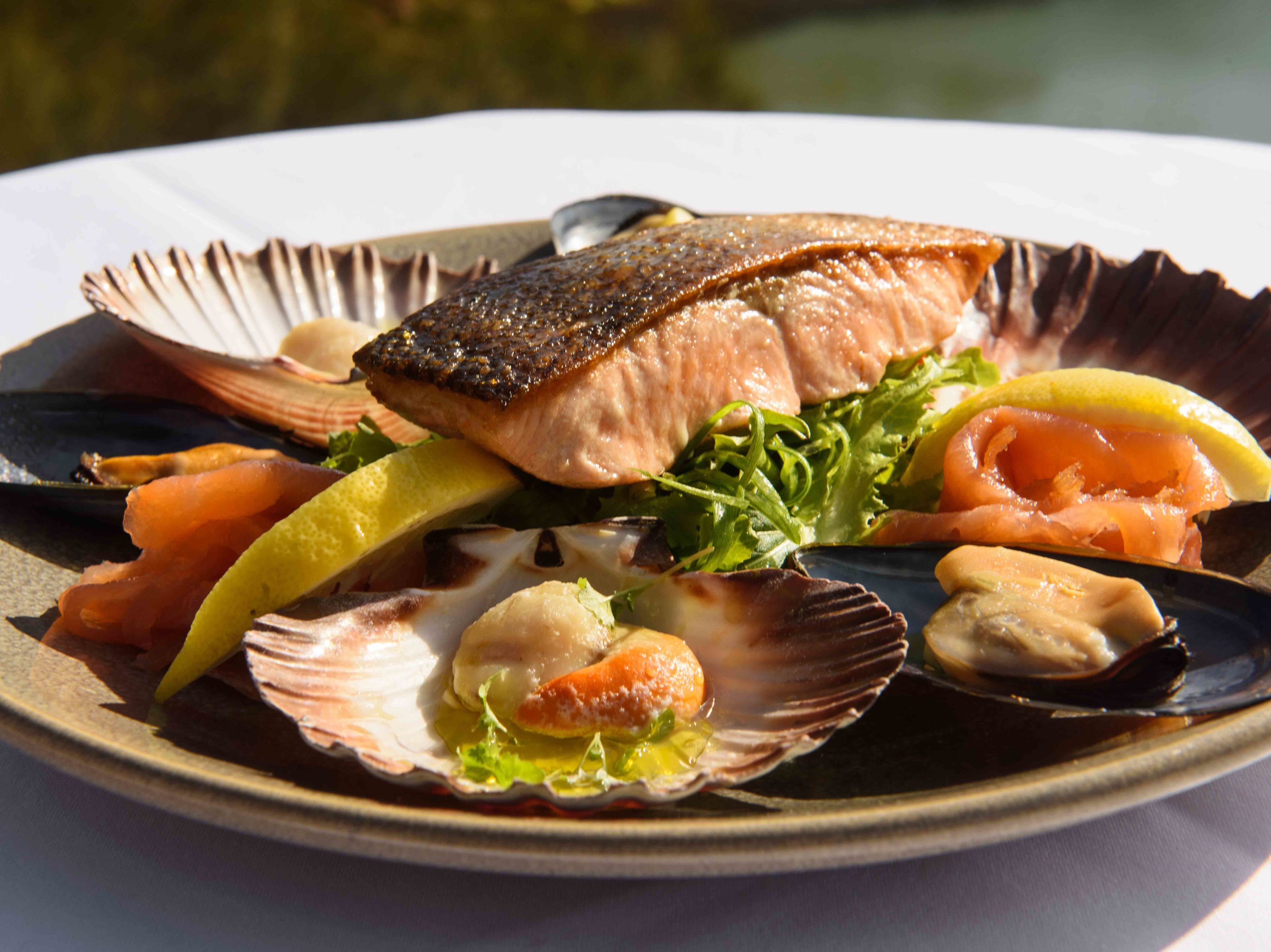 A seafood dish with salmon, mussels, and a scallop on a plate.