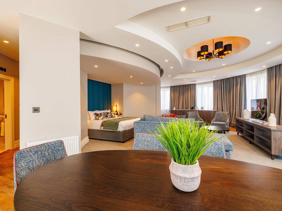 A modern living room with a curved ceiling, a dining table with a potted plant, and a cozy seating area with a sofa and armchairs.