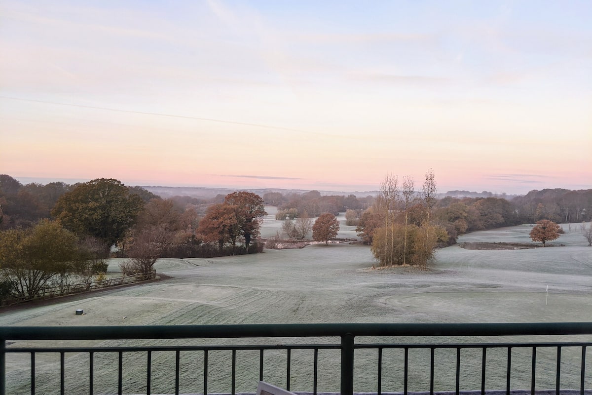 A view from a balcony overlooking a frost-covered field with trees and a distant horizon.