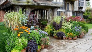 A historic building with a traditional timber-framed facade and a variety of potted plants in front. - London Beach Country Hotel (Tenterden)