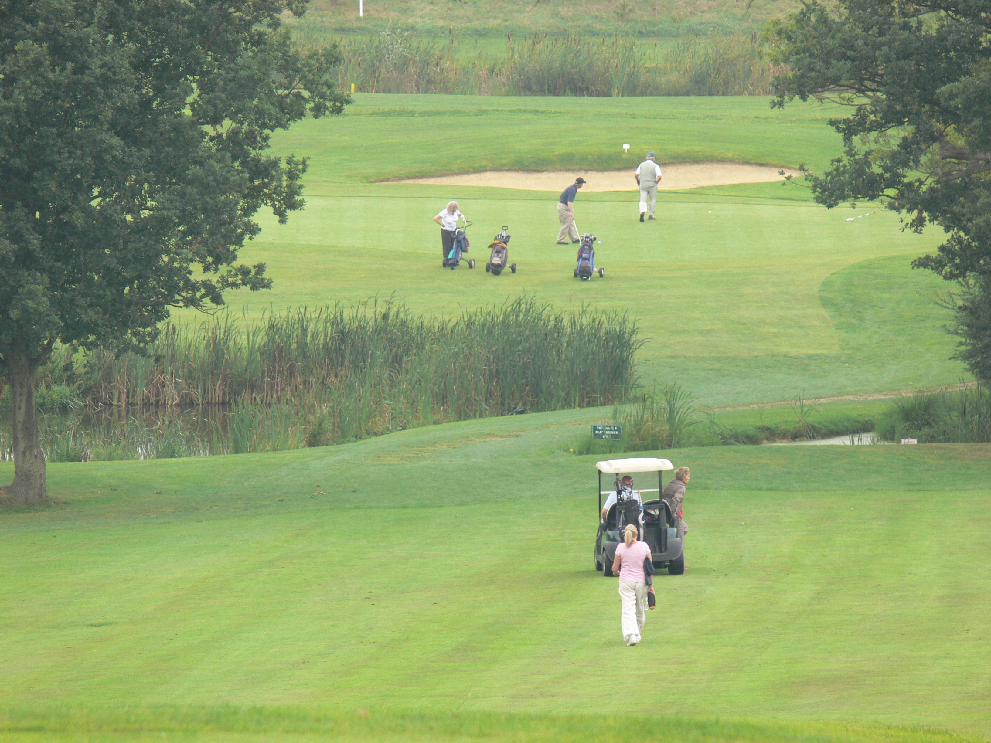 Ein Golfplatz mit Wagen, Ball und Spielern.