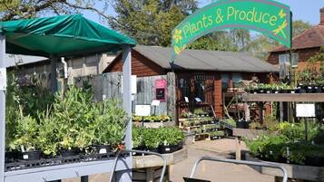 Een tuincentrum met verschillende planten en verse producten, gepresenteerd op houten kratten en tafels.