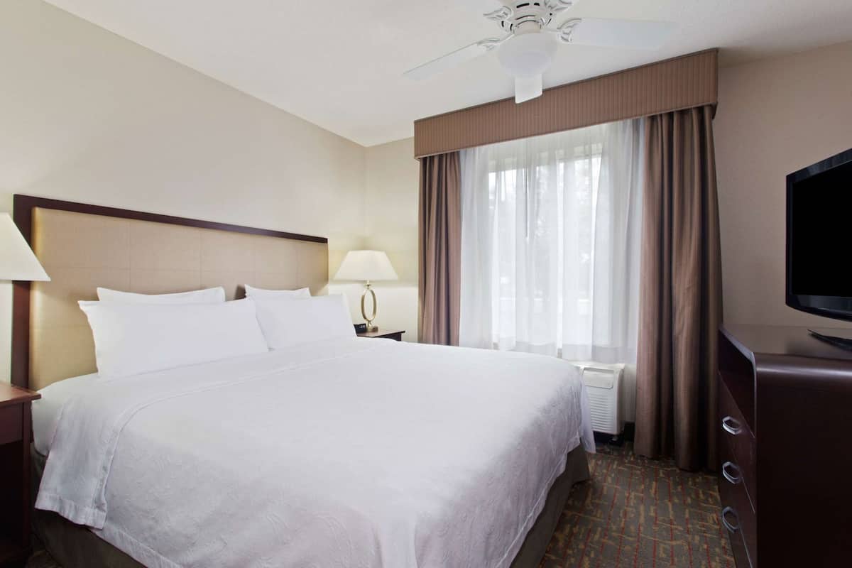 A hotel room with a large bed, a flat-screen TV, a ceiling fan, a nightstand, a lamp, and a window with curtains.