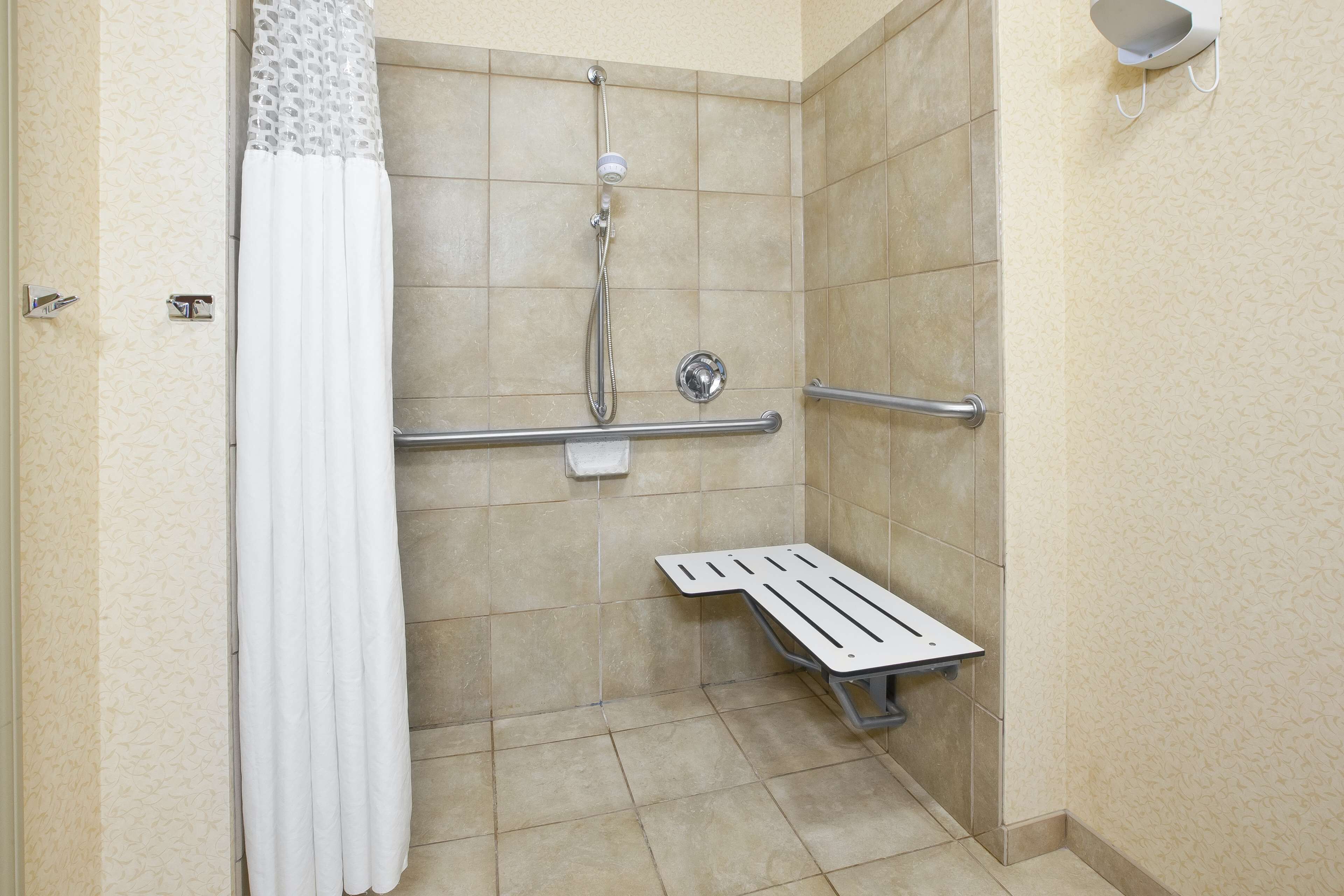 studio, 1 king bed, accessible, non smoking | bathroom shower
