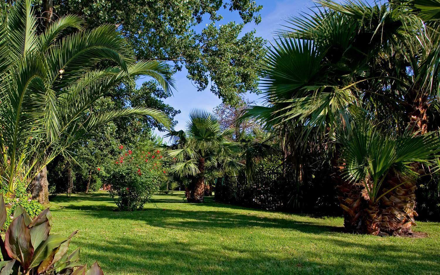 Foto - Hôtel Le Cottage