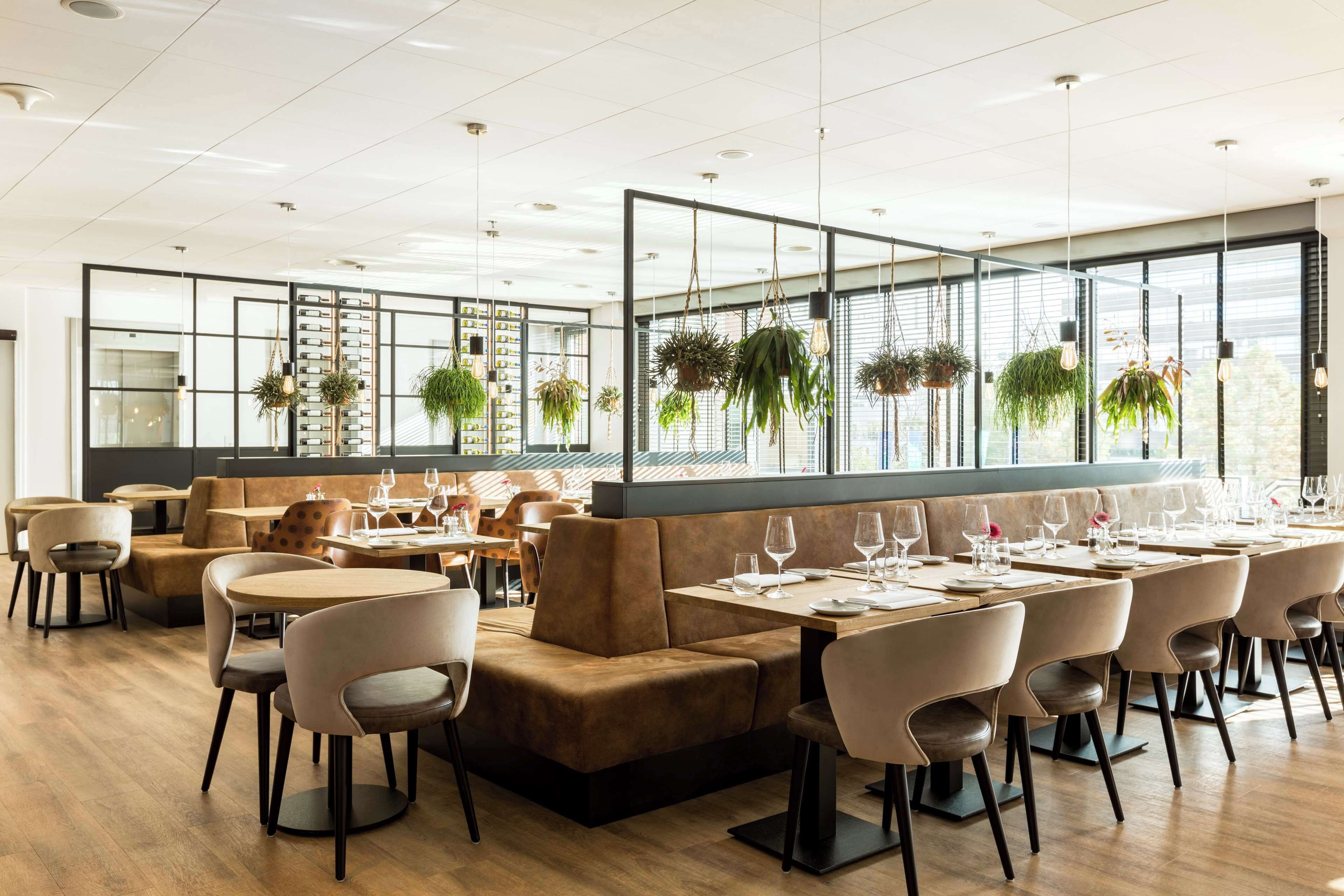 A modern restaurant with high tables and booths, hanging plants, and large windows.