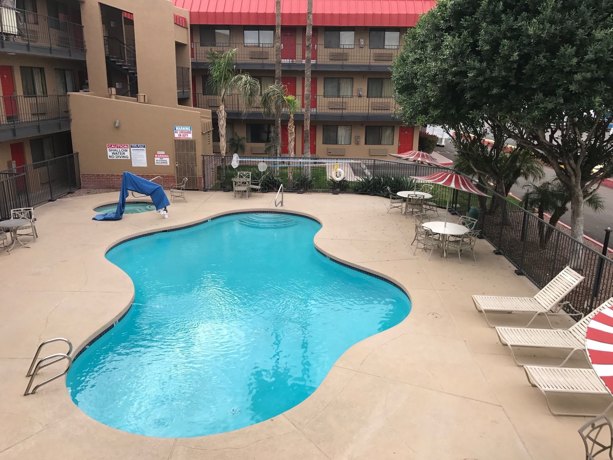 A swimming pool with a wavy edge, surrounded by lounge chairs and tables. There are signs warning about shallow water and no diving.