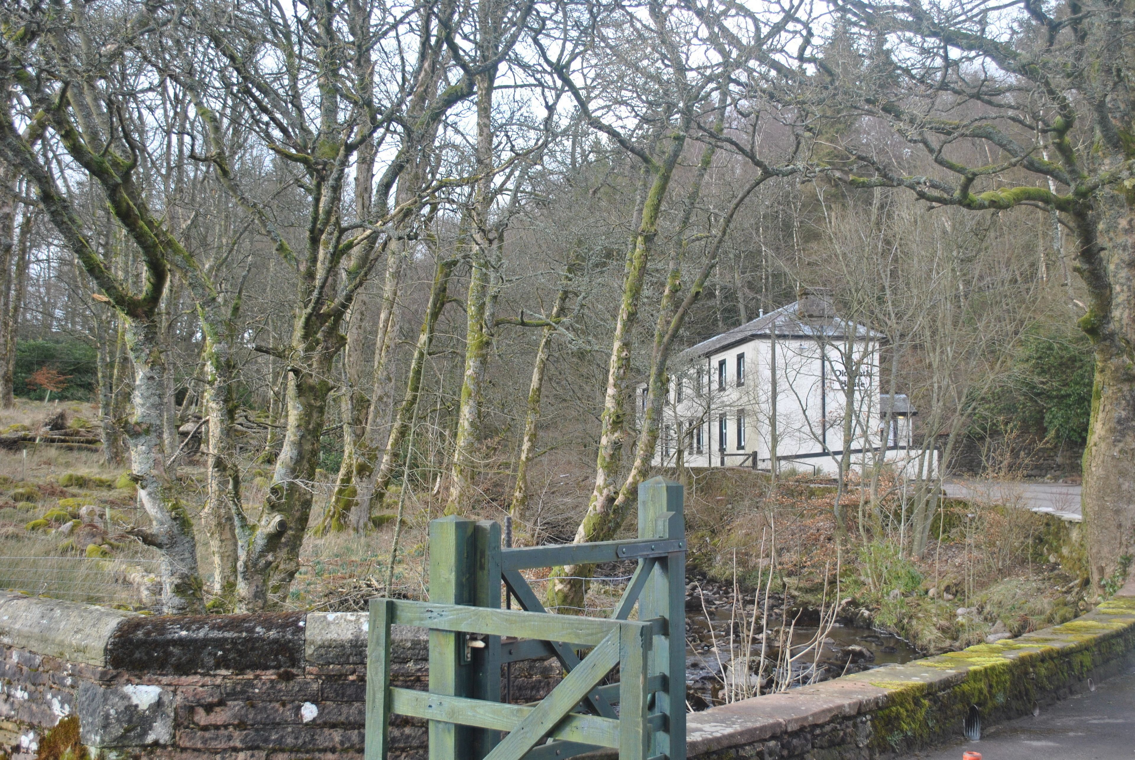 Une porte en bois rustique mène à un mur de pierres, entourée d’arbres sans feuilles et d’un petit bâtiment blanc en arrière-plan.