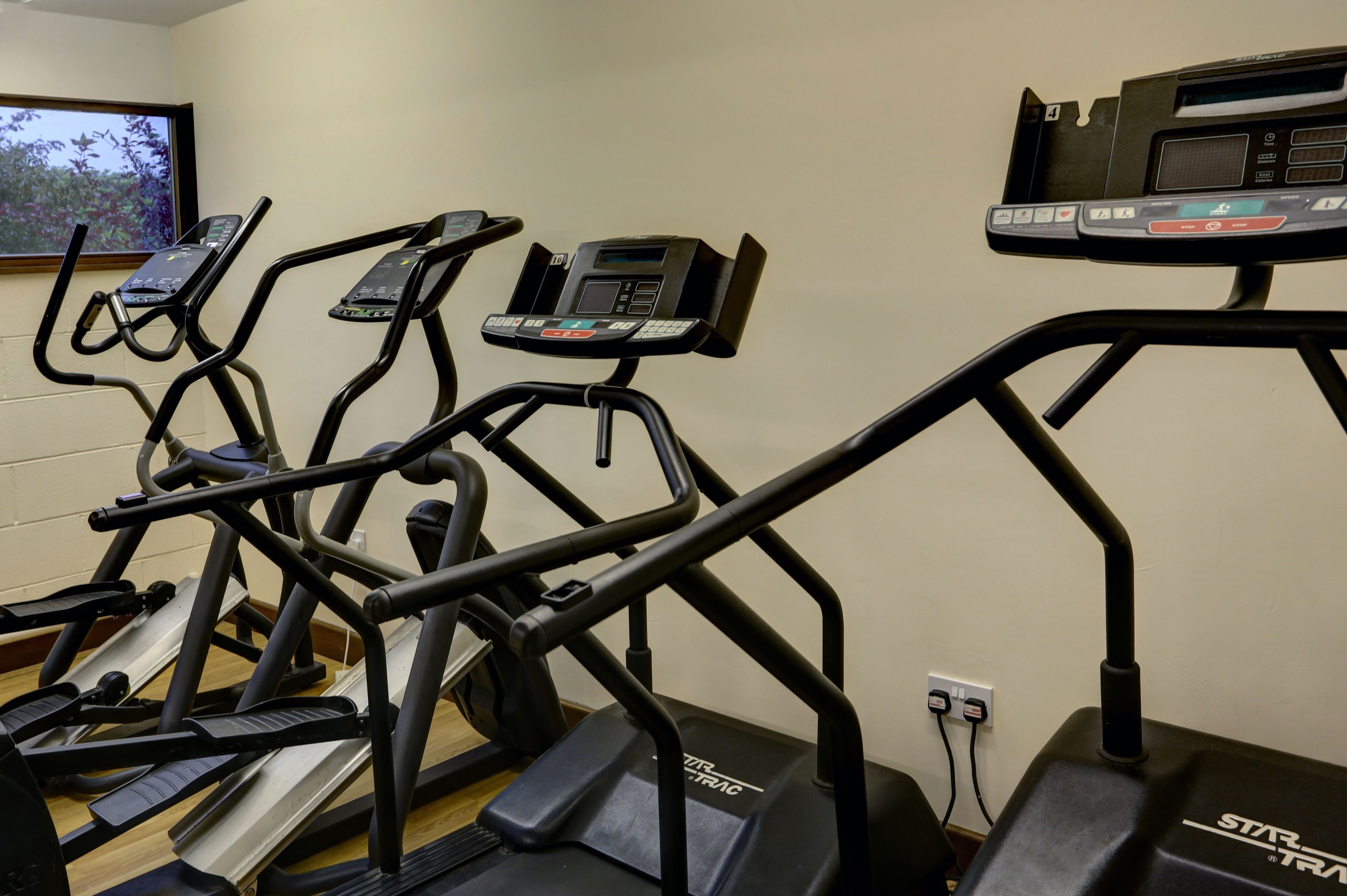 Une salle de sport équipée de plusieurs tapis de course, d’un téléviseur fixé au mur et d’une fenêtre donnant sur des arbres.