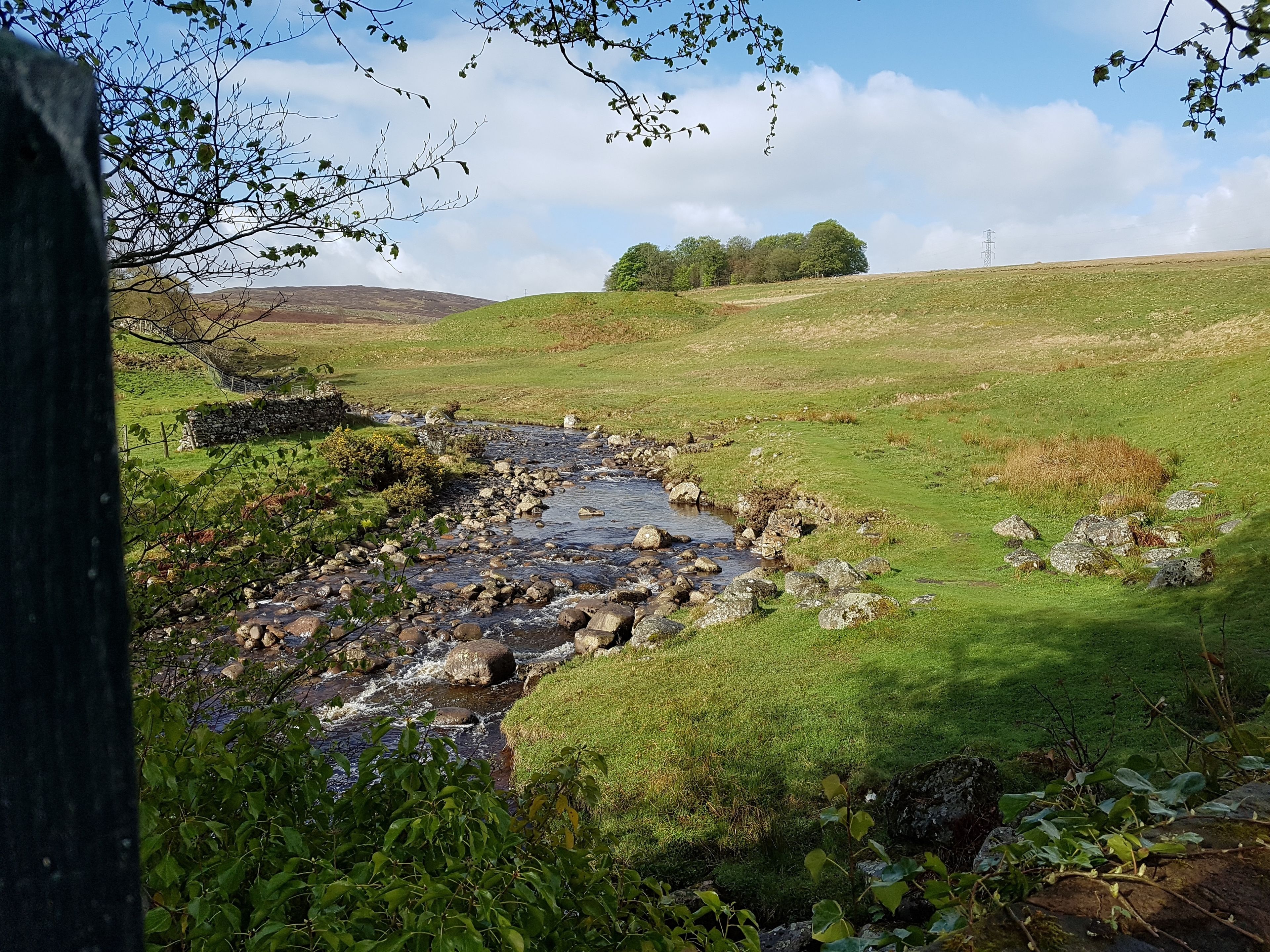 A rural landscape with a stream, grassy fields, and trees.