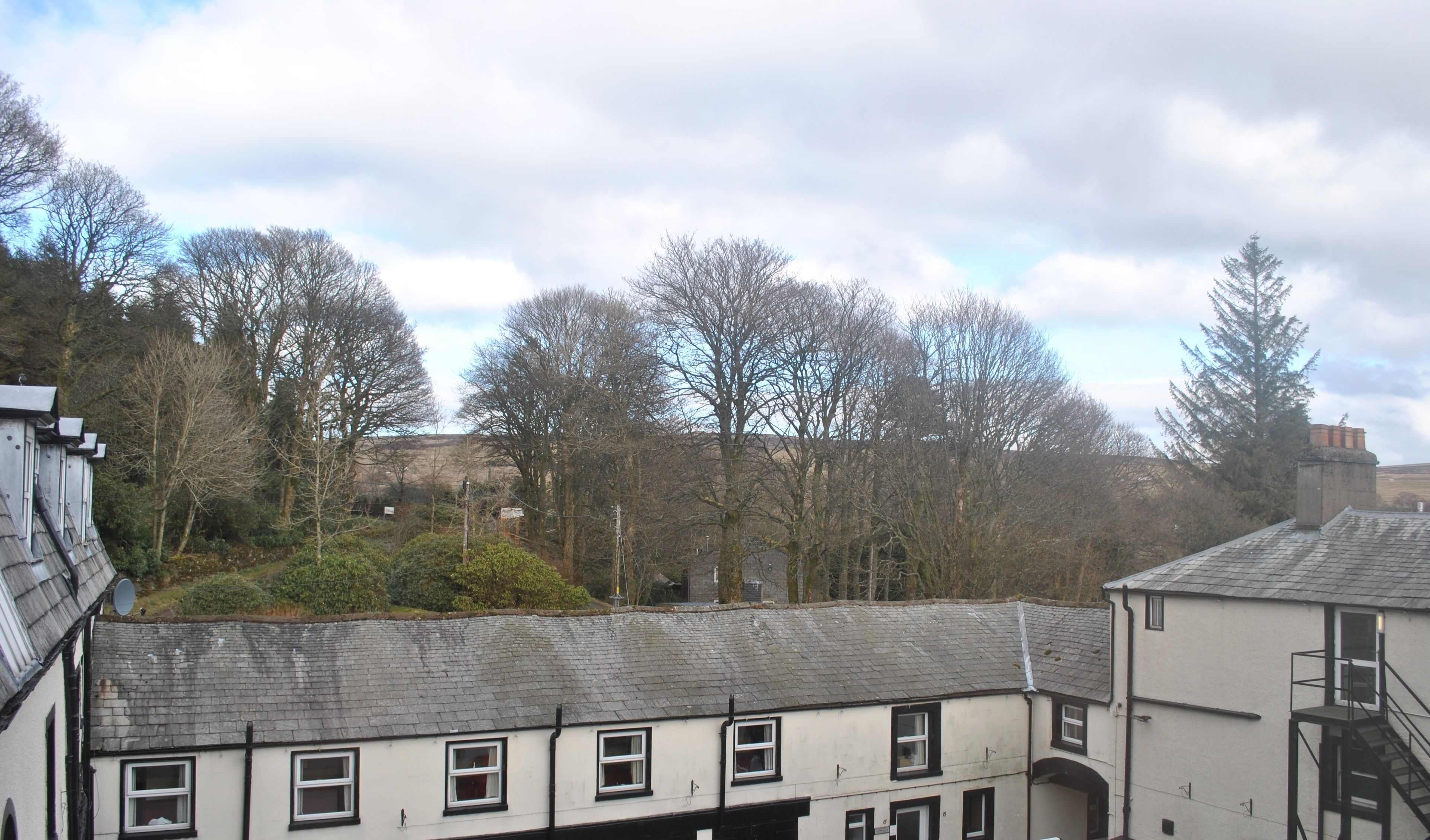 Vista desde la habitación