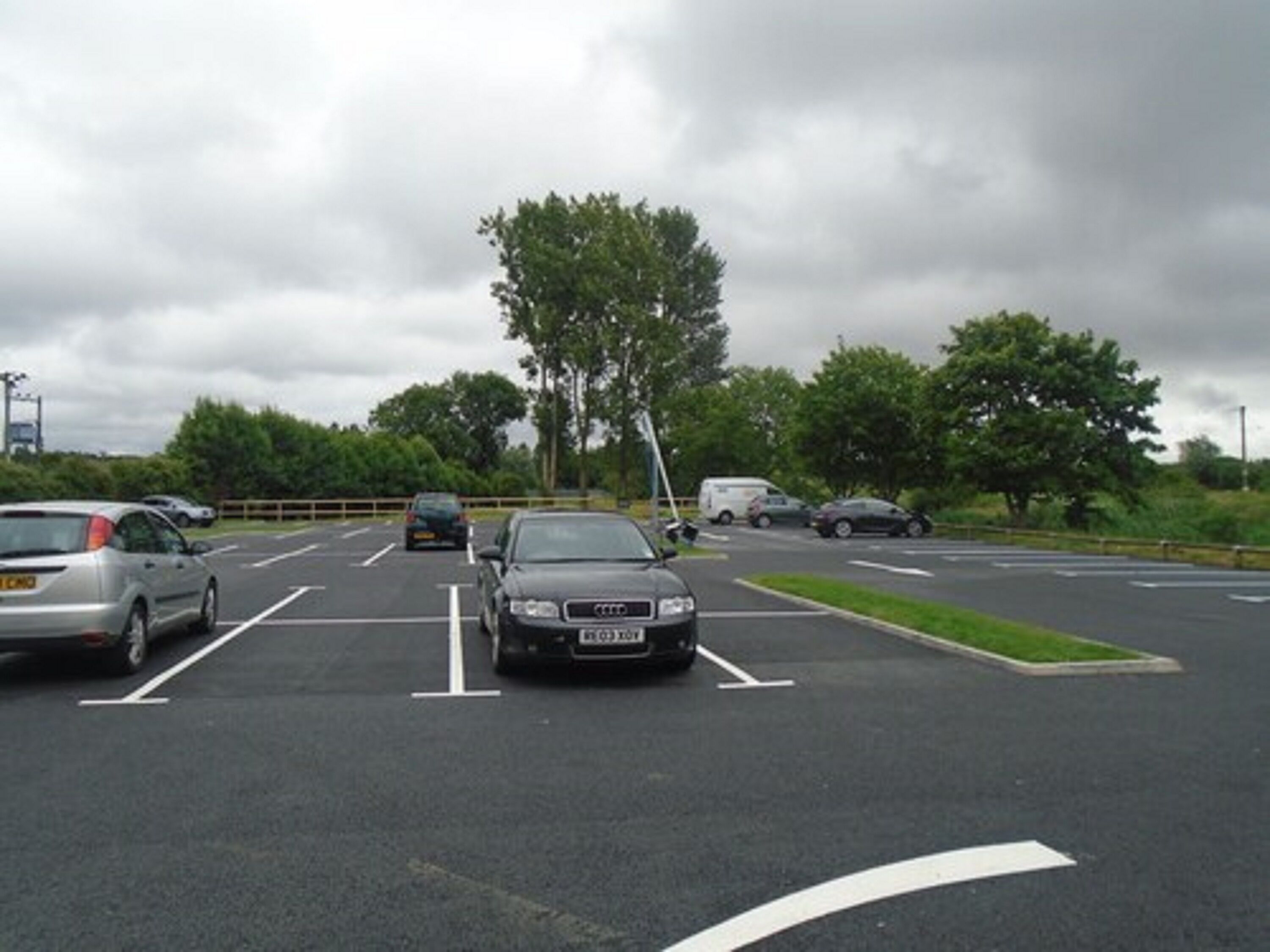 A parking lot with multiple cars and a large tree in the background.