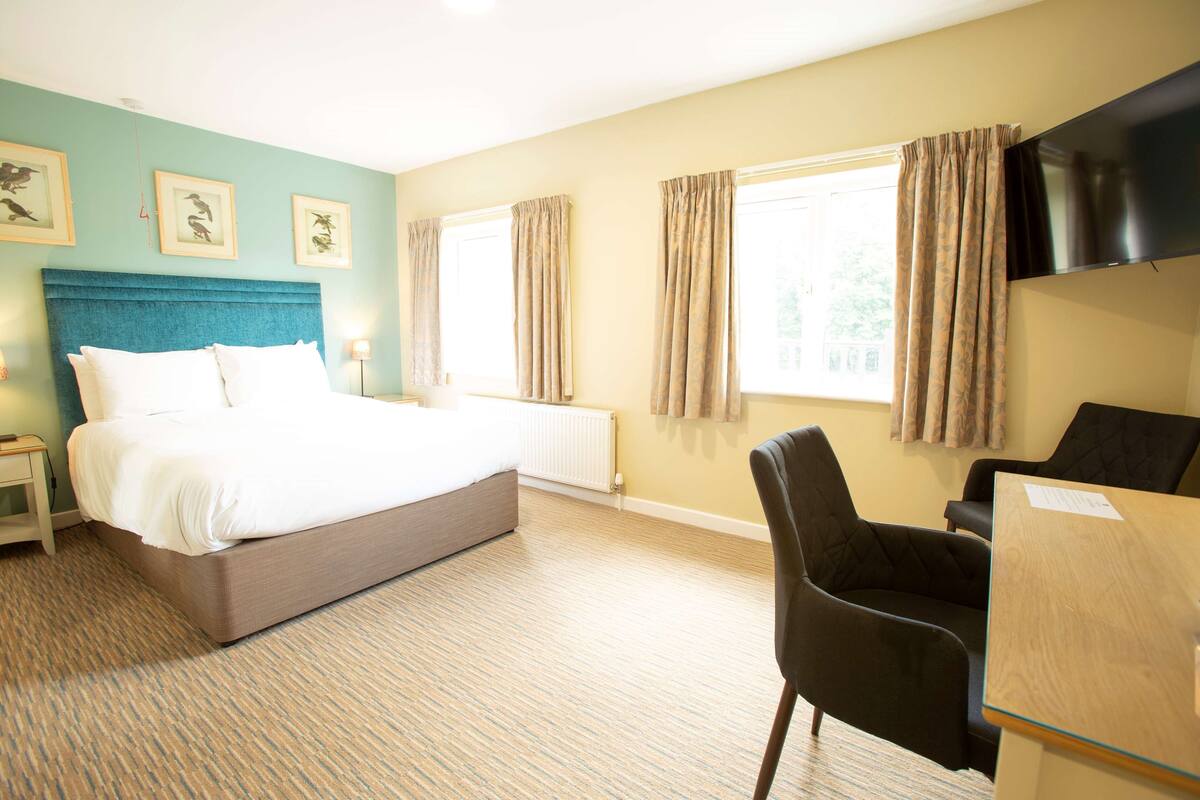 Habitación de hotel con cama, escritorio, silla, televisión y ventana con cortinas.