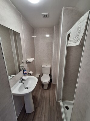 Une petite salle de bain comprenant un lavabo, des toilettes et une douche.