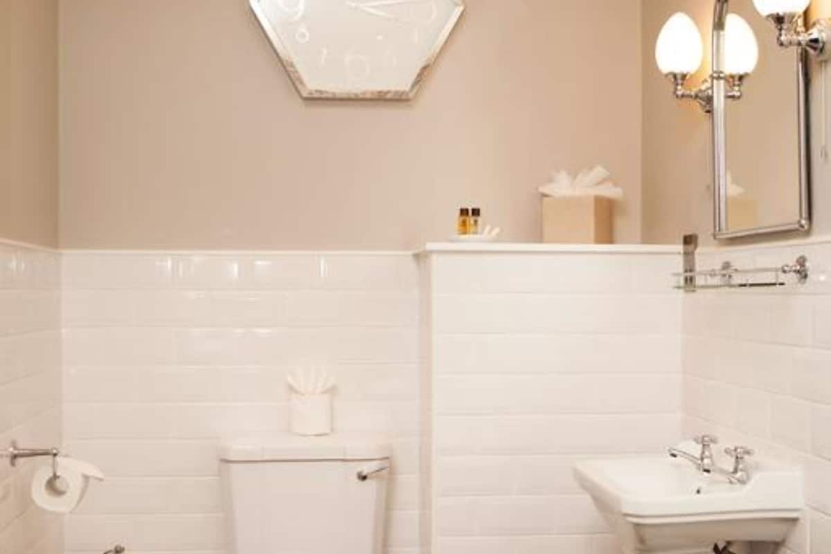 combined shower/bathtub, free toiletries, hair dryer, towels