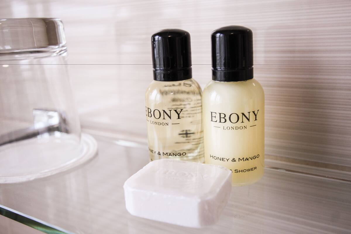 free toiletries, hair dryer, towels